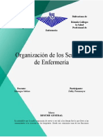 Organización de Los Servicios de Enfermería