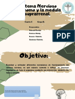 Sistema Nervioso Autonomo y La Medula Suprarrenal.: Cuarto C Grupo 11