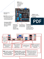 Placa Base