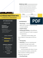 Professional Modern CV Resume