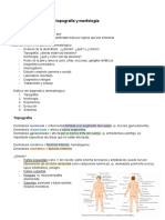 Lesiones Elementales, Topografia y Morfologia