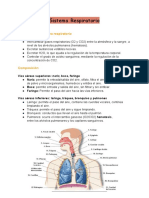 Funciones Del Sistema Respiratorio