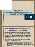 Capítulo 7 Fundamentos Fisicoquímicos Del Proceso de Flotación