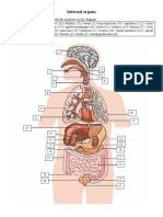 CORRECTION - Internal Organs Vocabulary