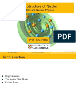 Structure of Nuclei: Particle and Nuclear Physics