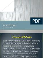 Duelo Perinatal