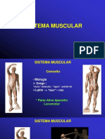 4 - Aula - IV - Sistema Muscular 2020