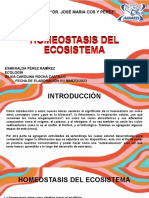 Homeostasis Del Ecosistema