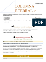 10.columna Vertebral