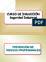 INDUCCION BASICA - ppt.NIeto