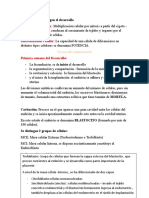 Proliferación Celular: Mecanismo Que Dirigen El Desarrollo