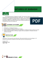 Postures of Shibashi: Lesso N