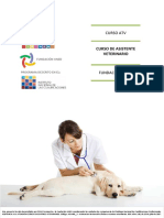 Curso Atv: Curso de Asistente Veterinario