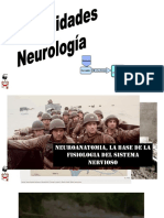 31 - Gralidades-Neuro-2019