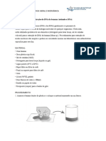 Extração de DNA