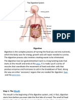 Digestive System