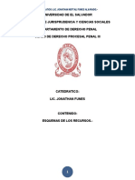 Los Recursos en El Proceso Penal. Esquemas. 2020.