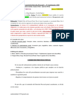 Procesal Penal - Primer Parcial