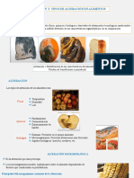 Alteración y Tipos de Alteración en Alimentos