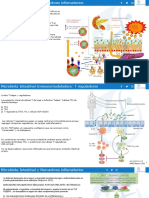 Tema 2 Microbiota Intestinal y Sistema Inmunologico Relacionado Con La Enfermedad