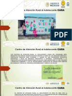 Cara PDF