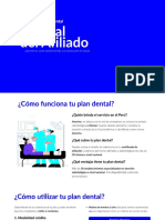 Manual Silver PDF