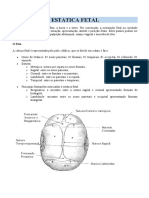 Resumo - Estática Fetal e Distocias