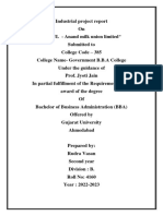 Rudra Project Bba Sem-4 PDF