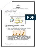 Lec 4 