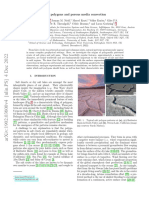 Salt Polygons and Porous Media Convection