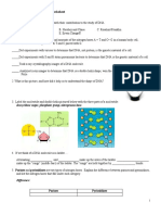 Transcription and Translation Practice Worksheet