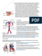 La Función Principal Del Ventrículo Derecho y de La Circulación Pulmonar Es El Intercambio de Gases