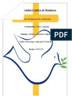 Resumen de Conferencia de Psicologia Aplicada Al Derecho