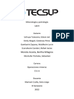 Lab - 6 - Sulfosales, Oxidos Y PESO ESPECIFICO PDF