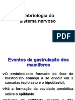 Embriologia Do Sistema Nervoso