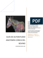 GUIA ANATOMIA CLINICA DEL BOVINO Con Material Complementario PDF