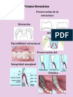 Principios Biomecanicos