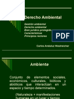 Derecho Ambiental Características y Principios 2021