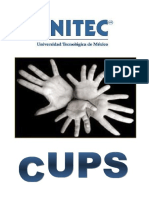 Entrevista Manual Cups PDF