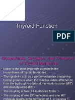 Thyroid Function