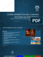 Etapa Domestica Del Cuidado