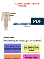 BIO1 Circulatory and Hematologic System 2