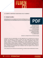 Módulo 3: 3.3 Cuerpo E Identidad Audiovisual Del Flamenco