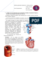 Especialidad de Corazon y Circulacion