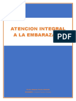 Atención Integral A La Embarazada Yerica Peche