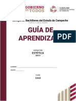 Guia de Aprendizaje PDF