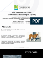 Caso Clinico de Cuching