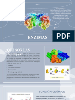 ENZIMAS, Biologia Bachillerato