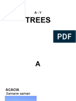 ENDEMIC TREES IN THE PHILIPPINES-compressed-compressed