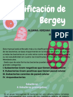 Presentación de Bergey